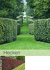 hecken_kl